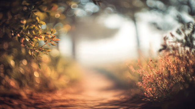 A dreamy, misty path winds through a forest, framed by soft autumnal foliage and glowing bokeh, creating a tranquil, ethereal scene.