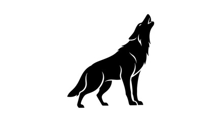 Obraz premium Black silhouette of a wild wolf standing and howling.