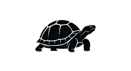 Black turtle silhouette on white background, nature and wildlife.
