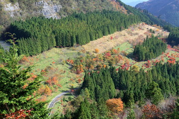 麓で色づく紅葉　稲村ダムの石切り場　（高知県　土佐町）