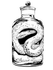 A snake or serpent on display in formaldehyde in a preservation jar as part of a curiosity cabinet or ingredient for a dark alchemy potion or zoology museum.
