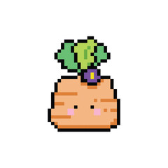 Cute carrots character illustration pixel art design