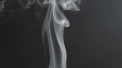 Dynamic Particle Animation of a Majestic Lion Head Forming on a Dark Background