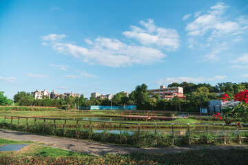 In a park in Dongguan City, Guangdong Province, China, the background features a row of modern, contemporary Chinese-style residential buildings, a blue sky, and clear lake water.