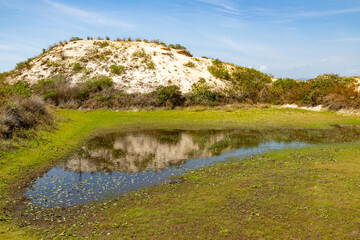 Sand dunes with vegetation and small lake