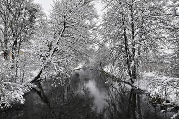Winter landscape with snow-covered trees