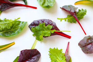 Mixed of fresh vegetable green leaves, including green kale and red-veined chard, spinach on white background.