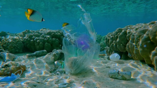 Tropical fish swimming over a cluster of plastic debris on the seafloor on a beautiful shallow inner coral reef in the sun's glare, on a turquoise surface background, Plastic pollution in the Ocean