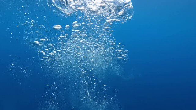 Serene Underwater Environment: Portray a pristine, tranquil underwater setting where these bubbles naturally occur, ensuring the aquatic environment feels vast, untouched, and utterly serene, devoid o