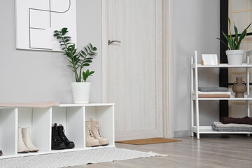 Interior of stylish hallway with shoes stand, houseplants and white door