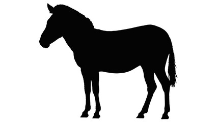 Naklejka premium Striking silhouette of a wild zebra, elegant design element for conservation awareness campaigns and African wildlife projects