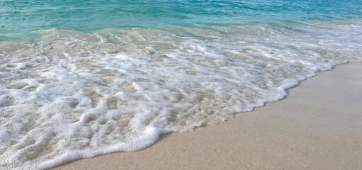 beach shore up close
