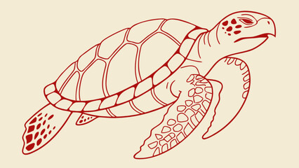 Illustration of a sea turtle with detailed shell and flippers in red outline on a light background