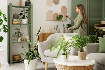 Young woman watering monstera leaves at home, focus on coffee table with houseplants