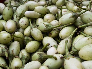 A pile of very fresh white eggplants (Solanum melongena) at the traditional market.