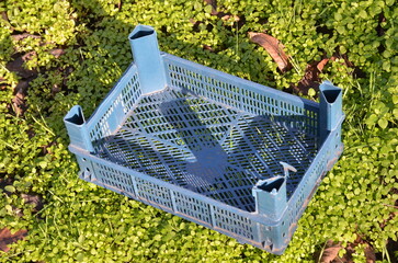 Empty plastic mesh box for fruit and vegetables
