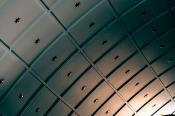 Birds in the ceiling of the airport building. Toned.