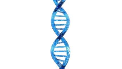 Blue Glass 3D DNA Helix Structure and Genetic Data, isolated on white