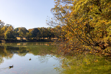 Beautiful Piedmont Park in autumn, Atlanta, Georgia