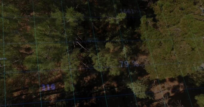 UAV descending over pine canopy, casting teal grid, marking numeric tags on plume alert for mapping