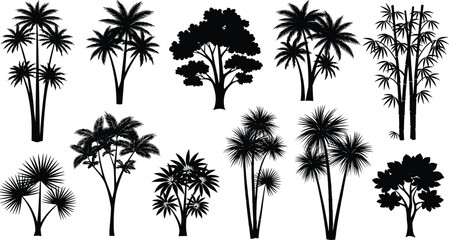 Black Silhouette Vector Set of Various Tropical Trees and Exotic Plants, Including Palm Trees and Bamboo, Ideal for Summer, Beach, Jungle, and Nature Landscape Design Graphics