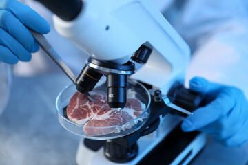 GMO concept. Scientist working with sample of meat at table, closeup