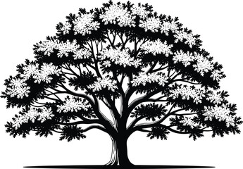 Highly Detailed Black Silhouette Vector Illustration of a Large, Mature Deciduous Tree with Sprawling Branches, Perfect for Nature Logos, Environmental Graphics, and Design Elements