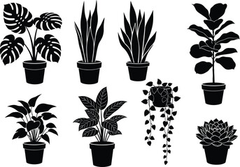 Silhouette set of indoor potted plants with unique leaf shapes, trailing vines, and decorative containers for modern botanical vector design.