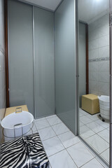 changing room interior with sliding closet doors, organization and storage space, functional dressing area, small dressing room with mirrored doors, zebra print stool and cleaning bucket, home service