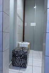 changing room interior with sliding closet doors, organization and storage space, functional dressing area, small dressing room with mirrored doors, zebra print stool and cleaning bucket, home service