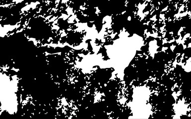 Obraz premium abstract grunge background. 