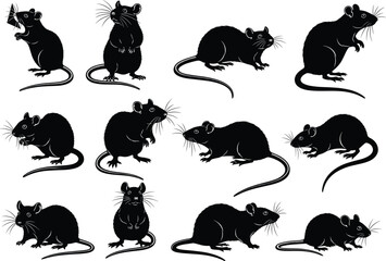 Black rat silhouette vector illustration collection, detailed rodent animal design, mouse and rat poses set, wildlife pest graphic, isolated white background art