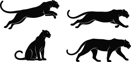 Panther silhouette vector set, black wild cat poses, leaping panther, stalking panther, sitting panther, walking panther, jungle predator clipart, icon