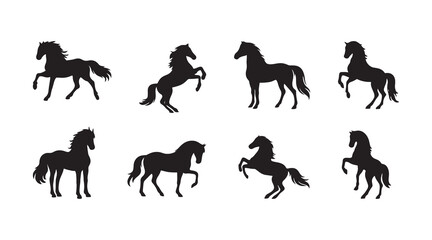 silhouette of majestic horse pose collections