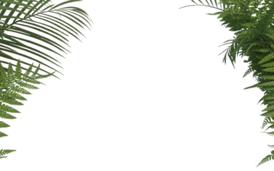 Vibrant green tropical fern leaves framing a dark empty space for text or design elements