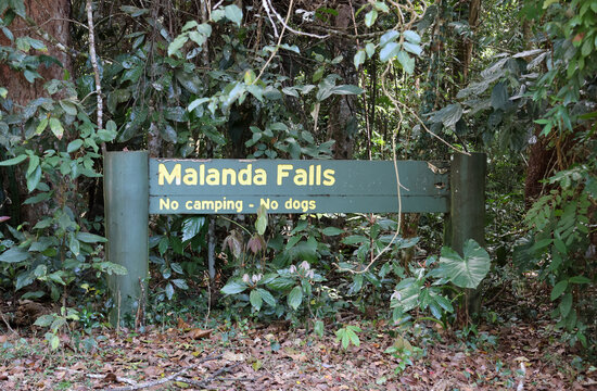 Green wooden sign for Malanda Falls in front of rainforest plants in Queensland, Australia