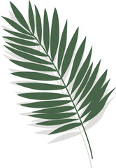 Palm Leaf Illustration 