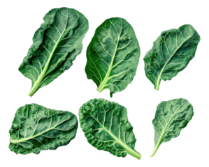 detailed studio photograph featuring six large, fresh dark green cabbage or collard green leaves, showcasing rich texture and prominent veins, isolated on black.