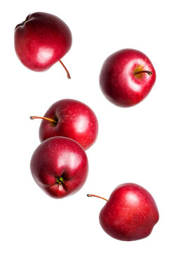 dynamic studio photograph of four vibrant red apples captured while levitating or falling through the air, isolated against a deep transparent background.