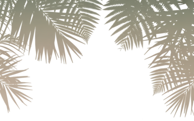 Silhouetted palm fronds arching over a dark space creating a tropical entrance or frame