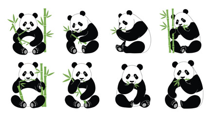 Sitting pandas eating bamboo stalks in various poses