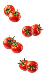 fresh, ripe red tomatoes on the vine, covered in refreshing water droplets, arranged in small clusters and isolated on a deep transparent background.