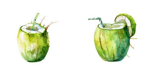 green coconut drink watercolor vector illustration