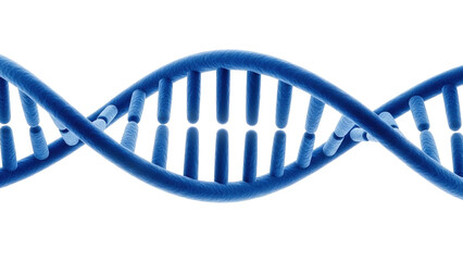 Blue DNA strand isolated on white background