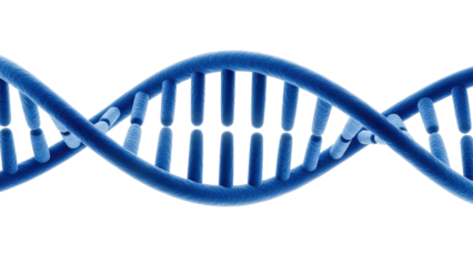 Blue DNA strand isolated on white background