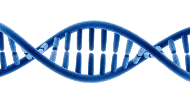 Blue DNA strand isolated on white background