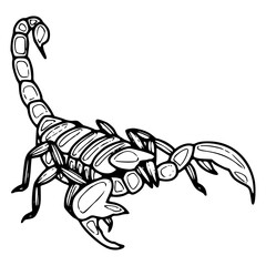 aggressive scorpion insect outline drawing