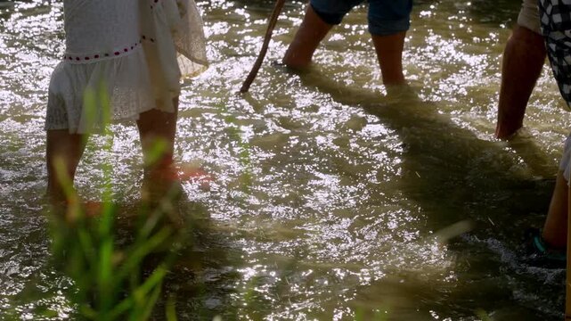 Sunlight sparkles on the river as pilgrims cross the Roc&iacute;o stream, mixing effort, devotion and joy Pilgrims crossing the shallow river, lifting skirts and walking through water with faith and laughter