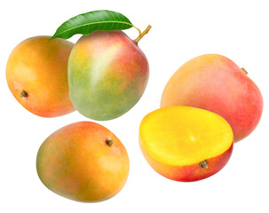 group of fresh ripe whole mangoes and one half-cut fruit displaying vibrant yellow flesh, isolated on pure transparent background.