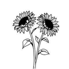 minimal illustration of two sunflowers with leaves